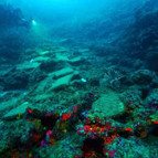 Antalyada bulunan batıktaki 74 bakır külçenin dünyada 5 örneği var