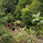 Alanyada safari cipi devrildi