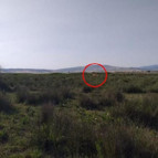 Çorumda köylüleri korkutan aslan iddiası