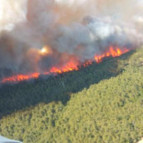 Çanakkalede orman yangını