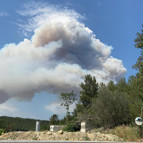 Çanakkalede orman yangını