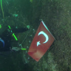 Marmara Denizi ekosisteminde gırgır tehlikesi