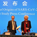 Koronavirüsü araştıran DSÖ ekibi Çinde açıklama yaptı