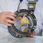 Türk bilim adamları kudret narının kemik kırığı tedavisinde kullanılabileceğini ispatladı