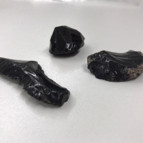 Trabzonda bulundu İlk insanlardan kalma... M.Ö. 11 bin yılına ait