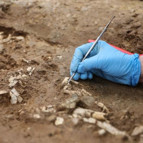 Beşiktaşta dünya göç haritasını değiştirebilecek bulgular