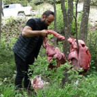 Ormandaki görüntü dikkat çekmişti Prof. Dr. Başkayadan çok önemli uyarı