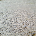 Şaşkına çeviren görüntü İşte müsilajın yoğunluğu...