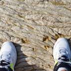 Şaşkına çeviren görüntü İşte müsilajın yoğunluğu...