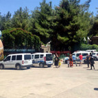 Gaziantepte hayvanat bahçesinde aslan paniği