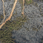 Bodrum yangınında acı bilanço