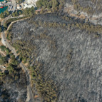 Bodrum yangınında acı bilanço