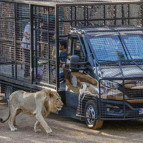 Antalyada tepki çeken görüntüler