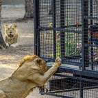 Antalyada tepki çeken görüntüler