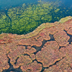 İzmirde şaşırtan manzara