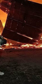 Samsunda fabrika yandı,  zincirle bağlı olan köpeği ölümden itfaiye kurtardı