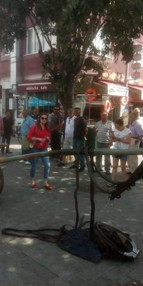 Faytonculardan koşum takımlı protesto