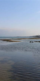 Yalovada deniz suyu 25 metre çekildi