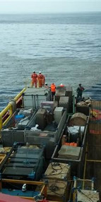 Endonezyada uçak düştü