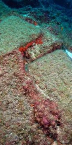 Antalyada bulunan batıktaki 74 bakır külçenin dünyada 5 örneği var