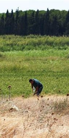 Kumkale Şehitliğinin yeri tespit edildi