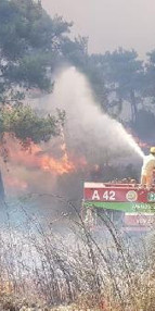 Çanakkalede orman yangını