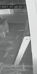 Yılbaşı gecesi İstanbulda 5 milyonluk soygun