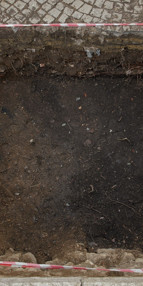 Eyüpsultanda heyecanlandıran keşif