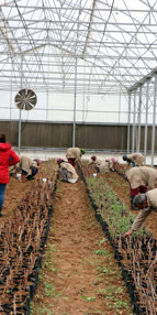 Gaziantepli 7 kadın, kurdukları kooperatifle ihracata başladı