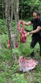 Ormandaki görüntü dikkat çekmişti Prof. Dr. Başkayadan çok önemli uyarı