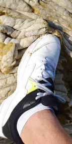 Şaşkına çeviren görüntü İşte müsilajın yoğunluğu...