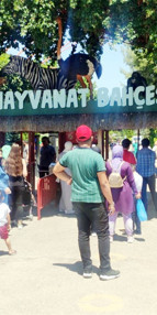 Gaziantepte hayvanat bahçesinde aslan paniği