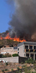 Bodrumda orman yangını