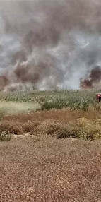 Kaşta sazlık alanda yangın