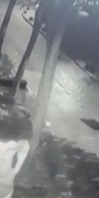 Beyoğlunda turisti böyle gasp ettiler