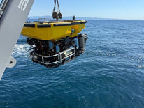 Halit Yukayın cenazesinin çıkartılmasına yönelik çalışmaların görüntüleri paylaşıldı