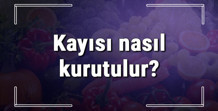 Kayısı nasıl kurutulur Evde taze gün kurusu kayısı güneşte ve fırında nasıl yapılır
