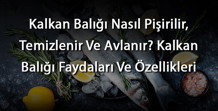 Kalkan Balığı Nasıl Pişirilir, Temizlenir Ve Avlanır Kalkan Balığı Faydaları Ve Özellikleri
