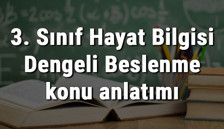 3. Sınıf Hayat Bilgisi Dengeli Beslenme konu anlatımı