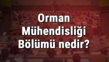 Orman Mühendisliği Bölümü nedir ve mezunu ne iş yapar? Bölümü olan üniversiteler, dersleri ve iş imkanları