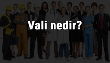 Vali nedir, ne iş yapar ve nasıl olunur? Vali olma şartları, maaşları ve iş imkanları Vali nedir, ne iş yapar ve nasıl olunur? Vali olma şartları, maaşları ve iş imkanları