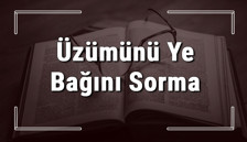 Üzümünü Ye Bağını Sorma atasözünün anlamı ve örnek cümle içinde kullanımı (TDK)