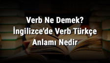 Verb Ne Demek? İngilizce'de Verb Türkçe Anlamı Nedir