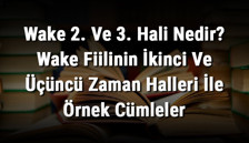 Wake 2. Ve 3. Hali Nedir? Wake Fiilinin İkinci Ve Üçüncü Zaman Halleri İle Örnek Cümleler