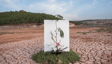 COP31’de üniversite öğrencilerine akademik görev