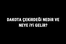 Dakota Çekirdeği Nedir Ve Neye İyi Gelir? Dakota Çekirdeği Faydaları