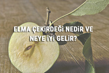 Elma Çekirdeği Nedir Ve Neye İyi Gelir? Elma Çekirdeği Faydaları