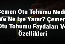 Çemen Otu Tohumu Nedir Ve Ne İşe Yarar? Çemen Otu Tohumu Faydaları Ve Özellikleri