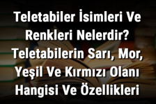 Teletabiler İsimleri Ve Renkleri Nelerdir? Teletabilerin Sarı, Mor, Yeşil Ve Kırmızı Olanı Hangisi Ve Özellikleri Nedir