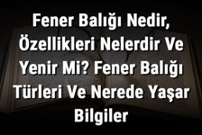 Fener Balığı Nedir, Özellikleri Nelerdir Ve Yenir Mi? Fener Balığı Türleri Ve Nerede Yaşar Bilgiler